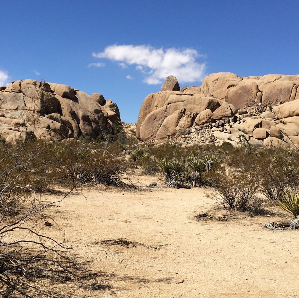 cropped-desertscape-1800w-cropped.jpg – Bill Lewallen